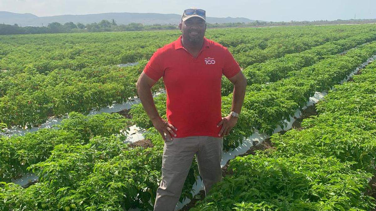 Junior Ebanks, a farmer on Jamaica’s southern coast, was just starting to recover from last year’s hurricane when Hurricane Melissa began targeting the island