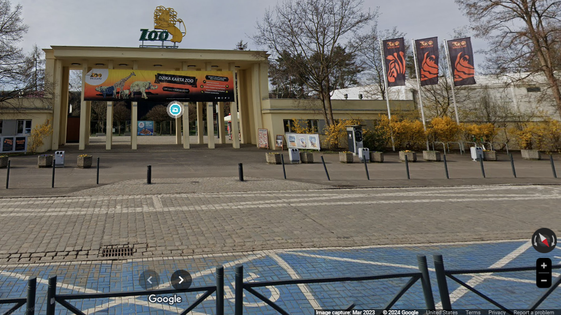 A zoo in Poland welcomed four incredibly rare cubs over the summer and announced the births on Oct. 18.