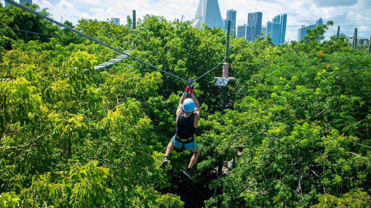 Treetop Trekking Miami aerial zipline adventure park on on Watson Island
