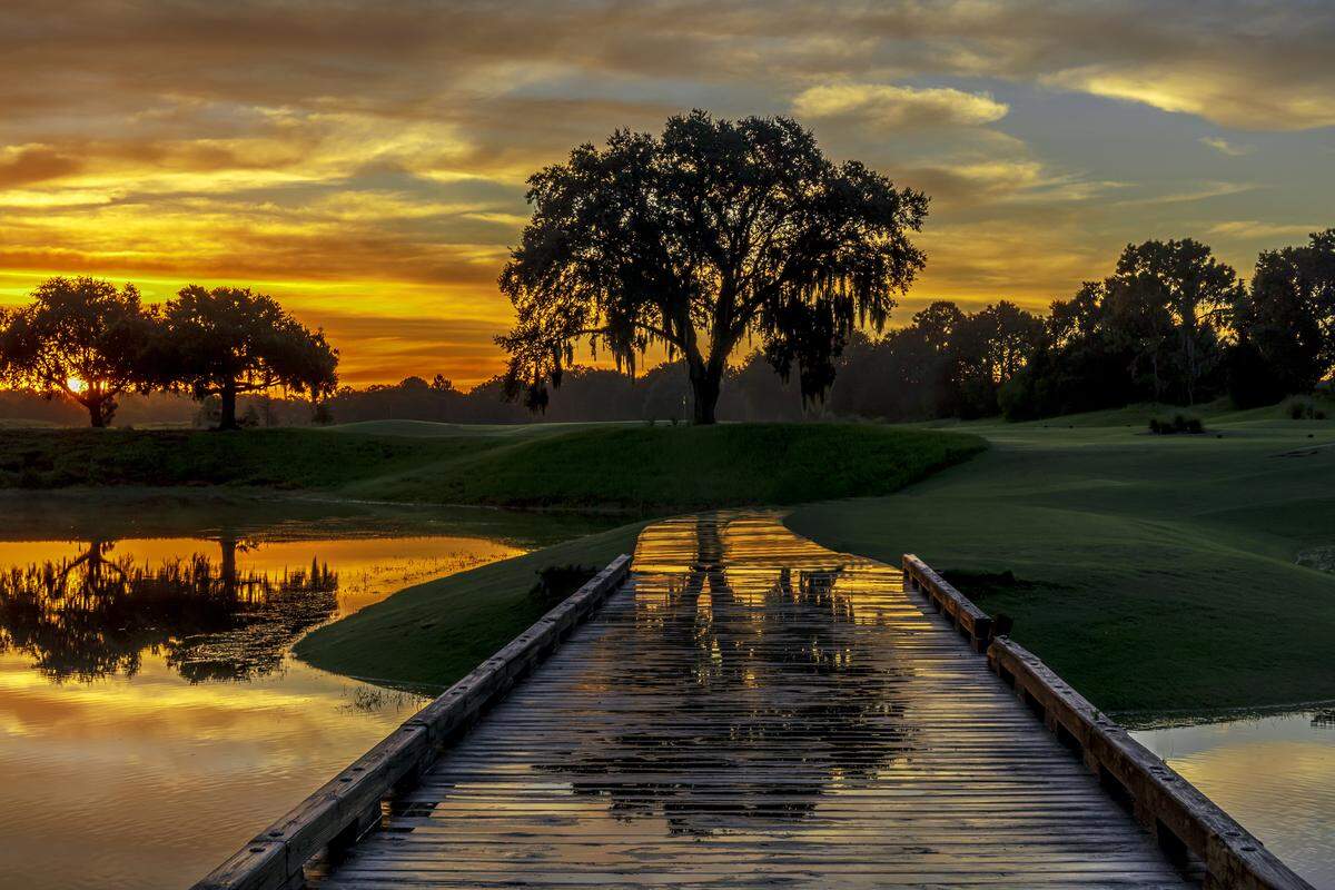 Choose from two 18-hole courses with lush fairways and challenging greens at Grand Cypress Golf, Evermore Orlando Resort.