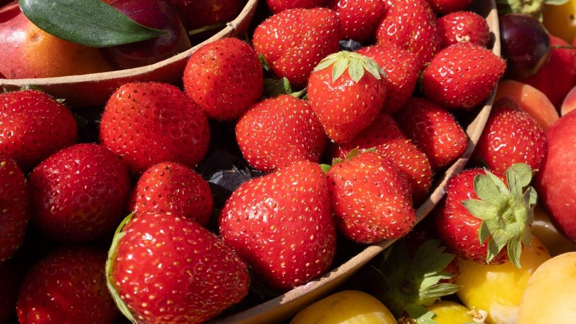 Inside the MIND Diet: The Eating Pattern Researchers Are Studying for Dementia Protection