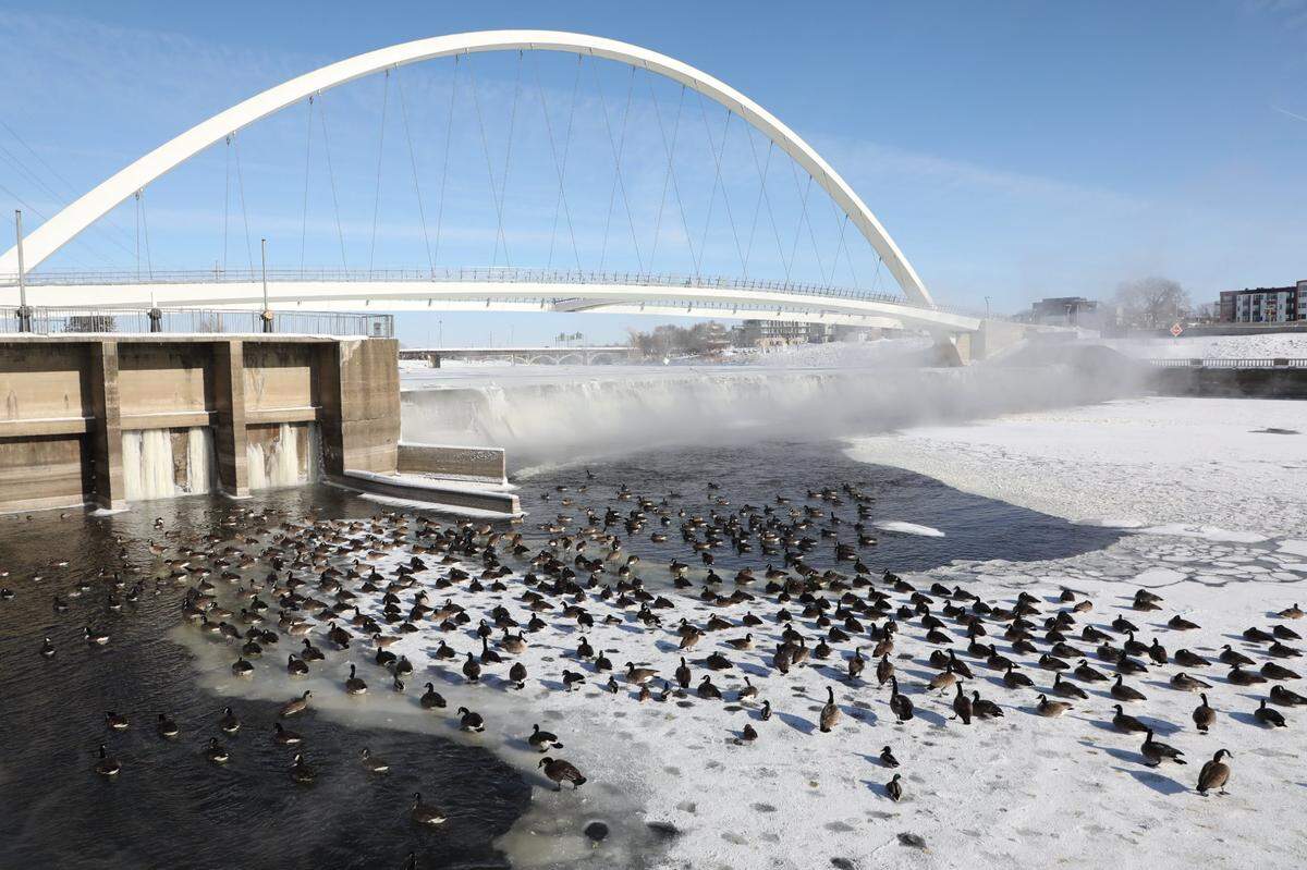 Geese rest on a frozen section of the Des Moines River at the Center Street Bridge which links the east and west sides of Des Moines on Sunday, Jan 14, 2023.