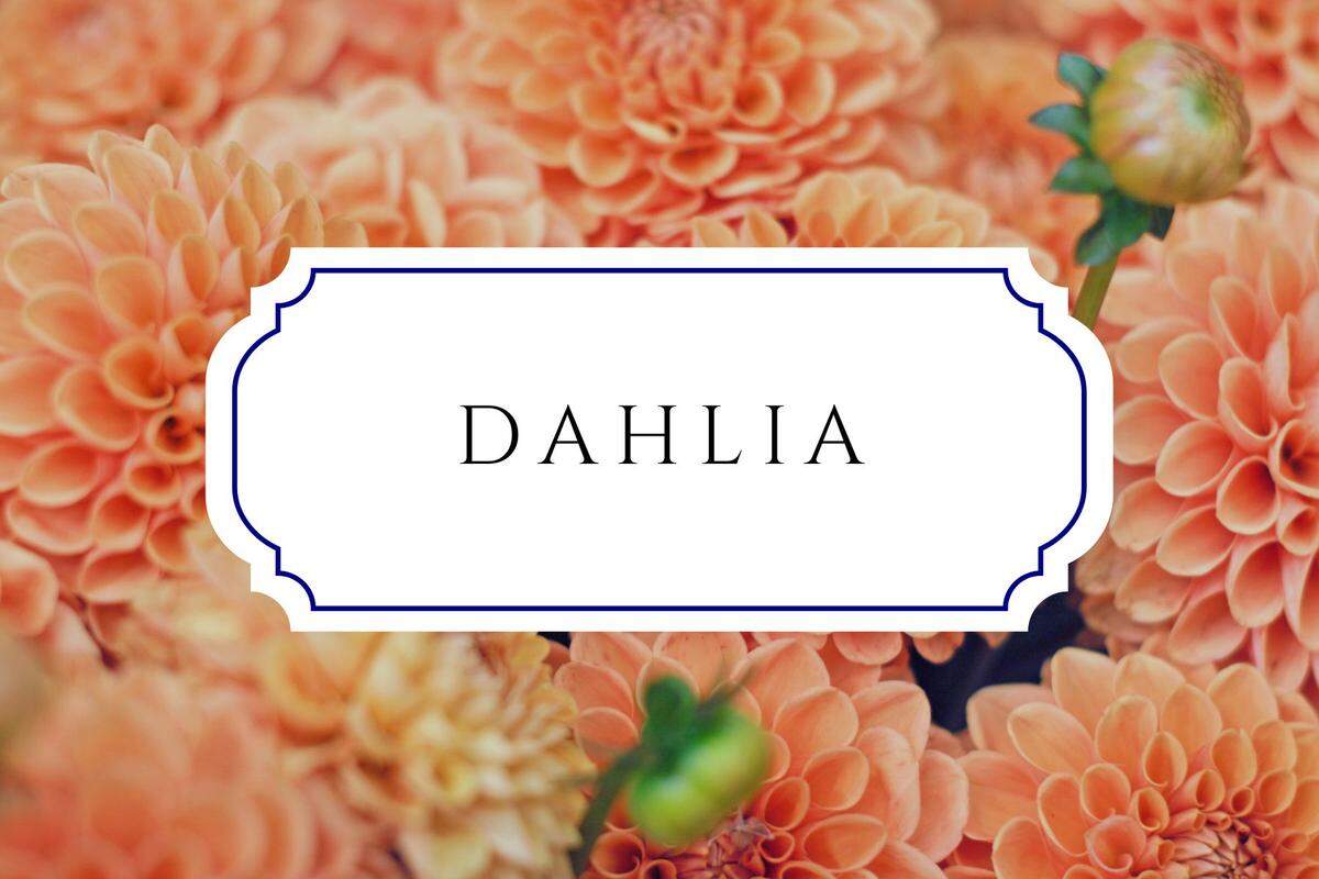 names that mean flower dahlia