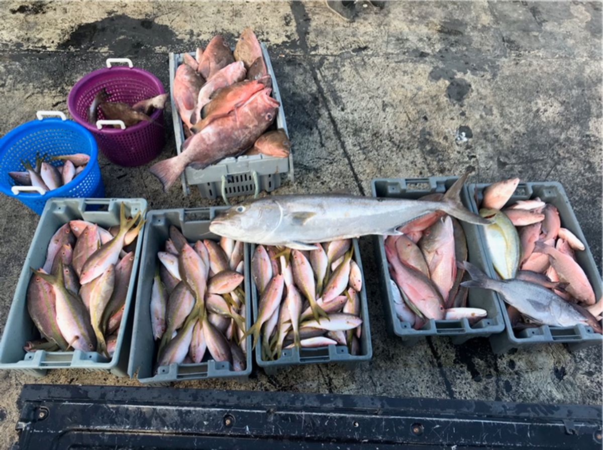 Police said they seized hundreds of pounds of fish illegally caught off Key West in a no-take zone.