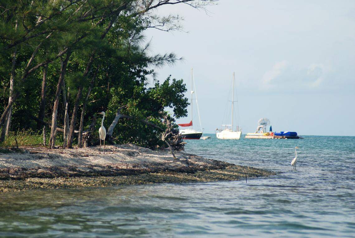 Wisteria Island in Key West Harbor has so far been left undeveloped as the city has become a major tourist destination.