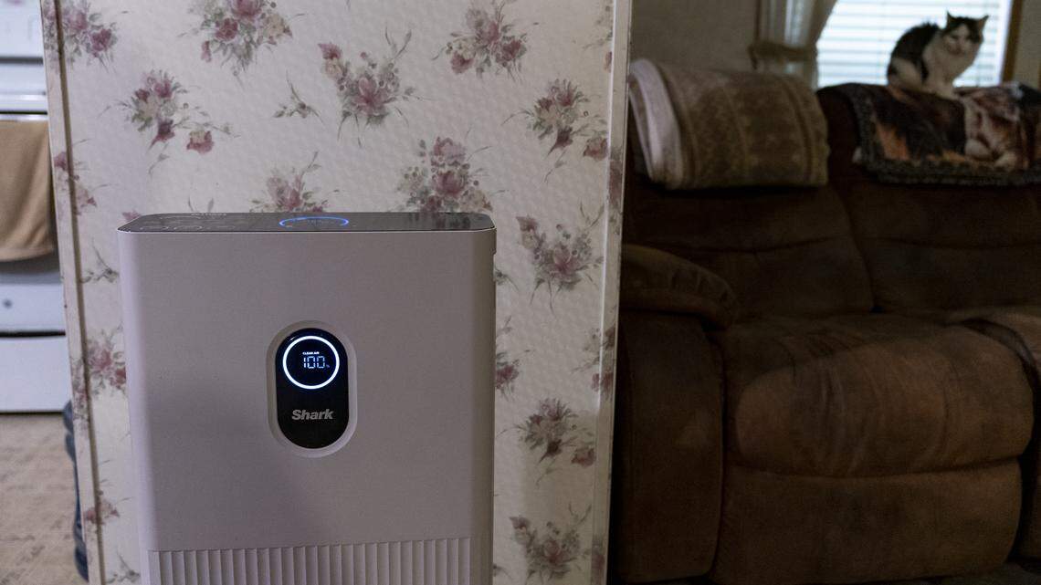 The best HEPA air purifier, room by room: Everything you need to know before you buy
