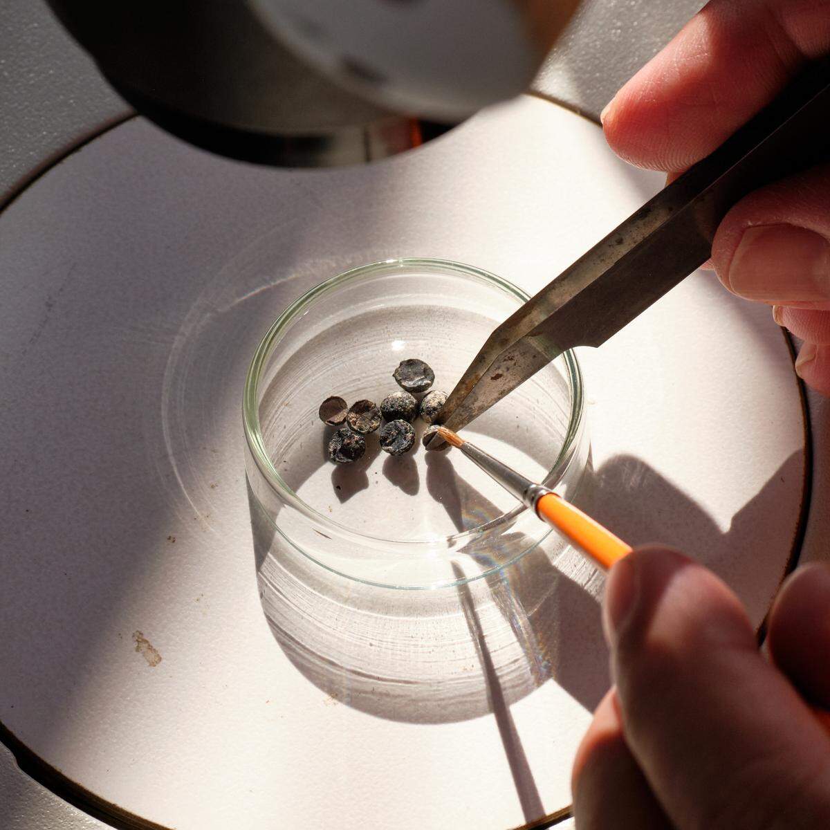 Botanical remains and seeds found with the storage containers showed they were once used for wine, grain and fruit.