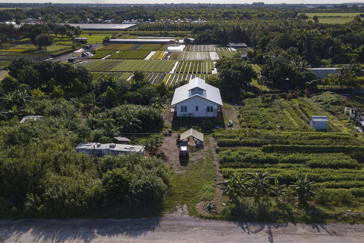 Niven Patel, chef of Ghee Indian Kitchen, had hired a husband and wife team of farmers to grow food specifically for his restaurant. He had to lay them off amid the coronavirus pandemic, but he continues to buy their Homestead-grown produce.