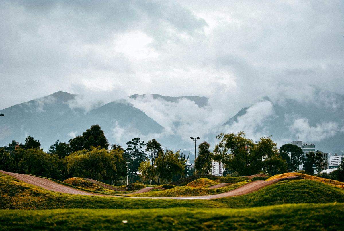The butterflies were found as the sun shown on the cloud forest, but soon the fog rolled in, researchers said.