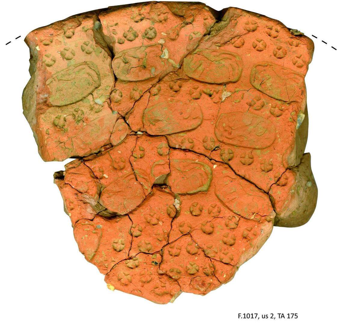 A terracotta tile with the wolf stamp and other markings.