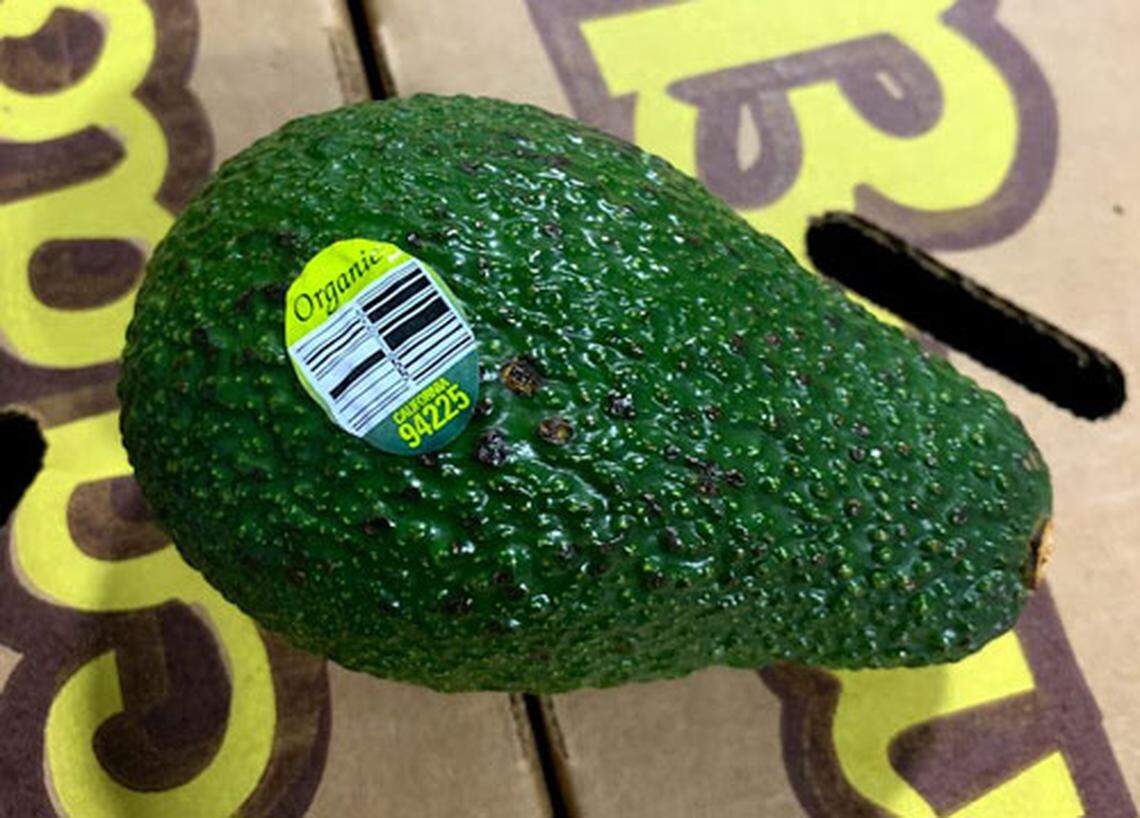 One of Henry Avocado’s organic avocados with the identifying sticker.