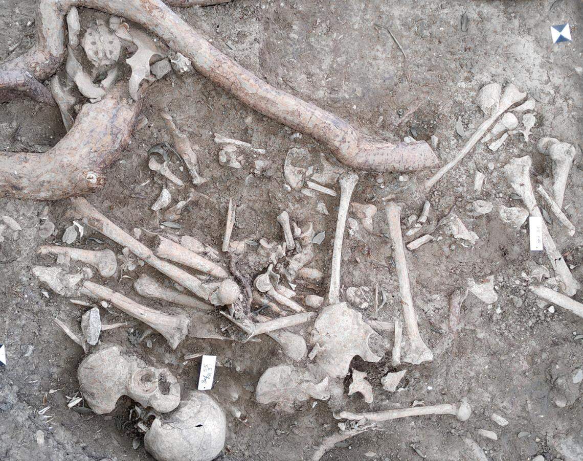 Body parts and remains were found stacked on top of each other in bone pits at the gallows site.