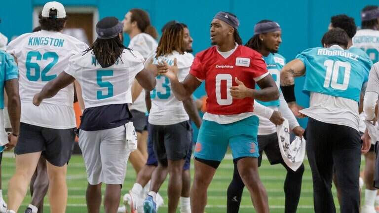 Kelly: Production of Dolphins tailbacks needs to match their potential | Opinion