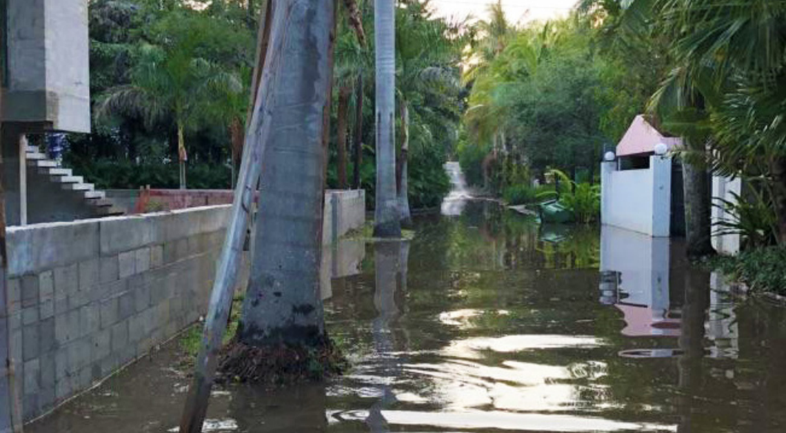 Flooding on North Bay Homes Drive in Coconut Grove in an undated photo. The street was the subject of a new report with a series of neighborhood selected recommendations to keep the area dry in the face of sea level rise.