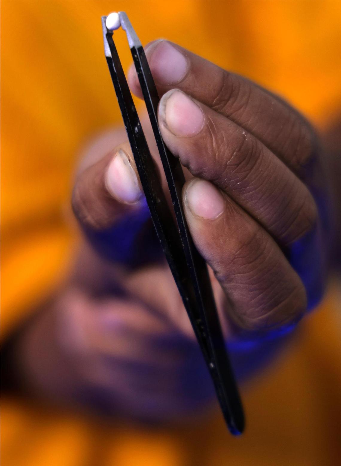 A young boy holds a seed he’s planting at the hydroponic farm at Lotus Village. A new Children’s Village is planned one block away.