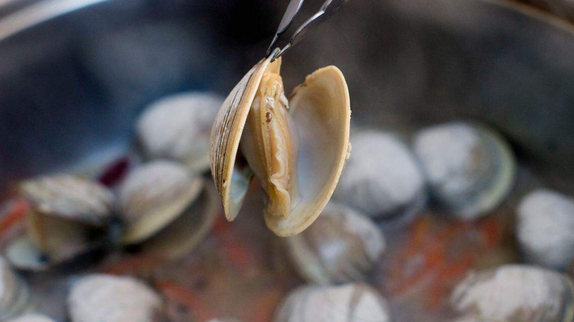 The man thought he cracked a tooth when he bit into a clam (not the one pictured).