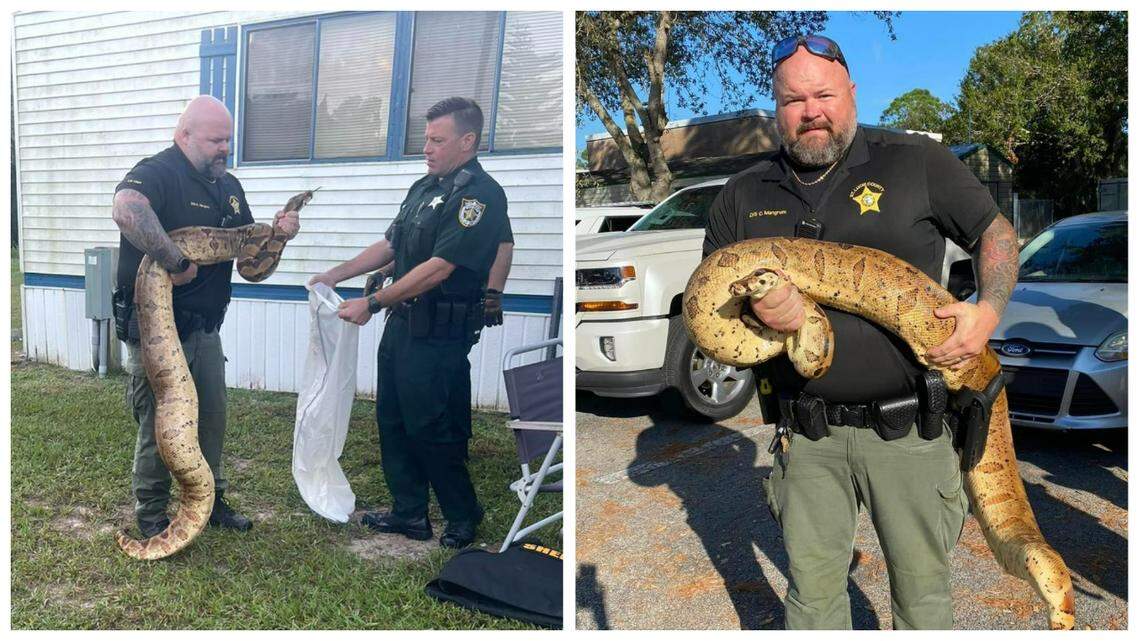 “My goodness gracious, that’s a big boy!” one user commented on Facebook.