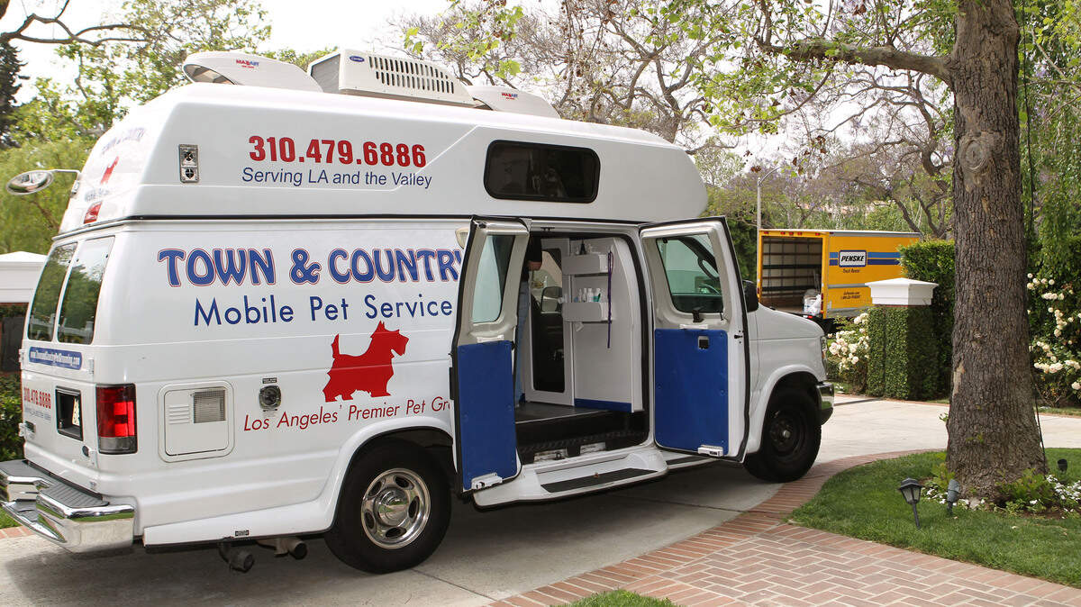 mobile dog grooming service