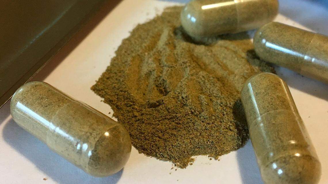 This Sept. 27, 2017 file photo shows kratom capsules in Albany, N.Y.