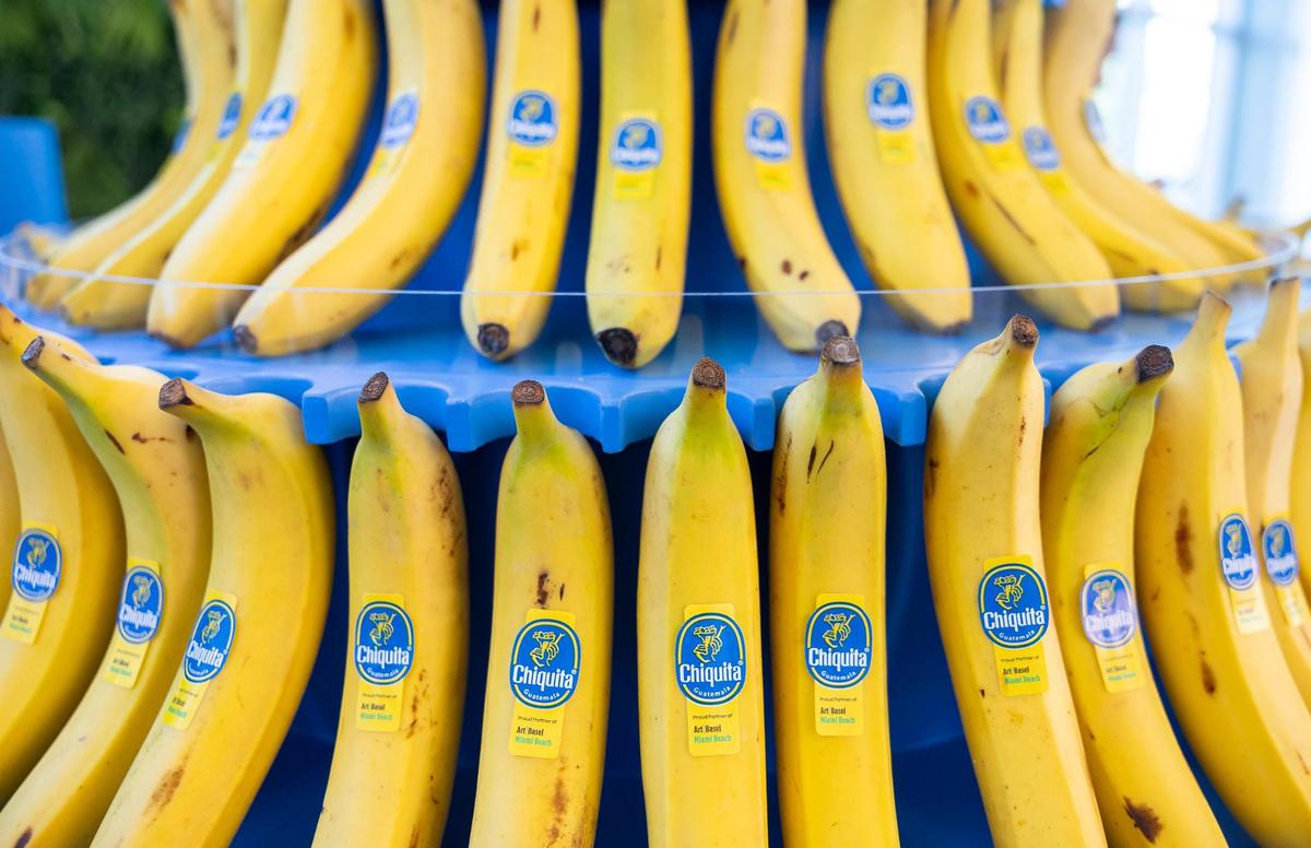 Bananas are on display at a Chiquita booth during Art Basel at the Miami Beach Convention Center on Wednesday, Dec. 4, 2024, in Miami Beach, Fla.