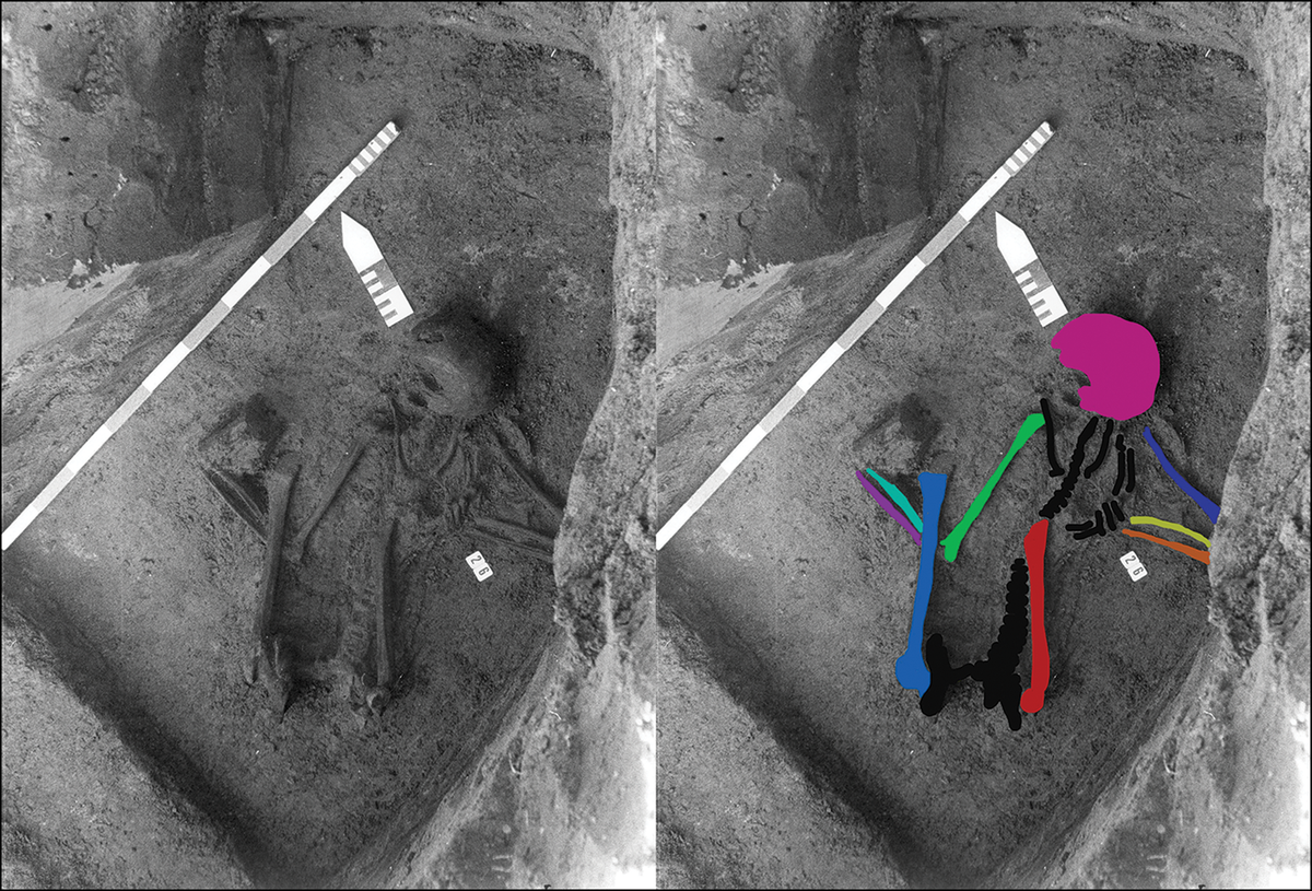 The bones were found at a Roman-era cemetery, but they were actually much older.