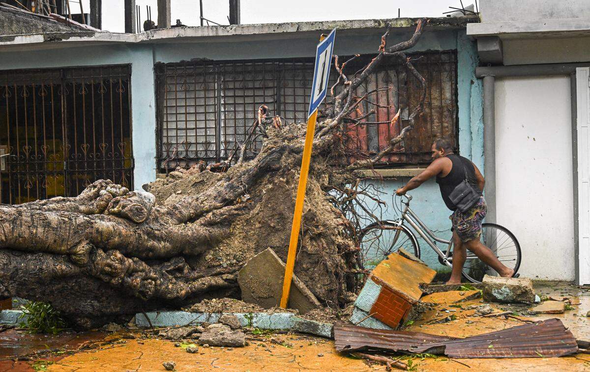 A man walks past a fallen tree with his bicycle after Hurricane Melissa struck a neighborhood in Santiago de Cuba on October 29, 2025. A powerful Hurricane Melissa made landfall in eastern Cuba on Wednesday, causing damage and flooding to homes and streets in Santiago de Cuba province, an AFP team on the ground reported. 