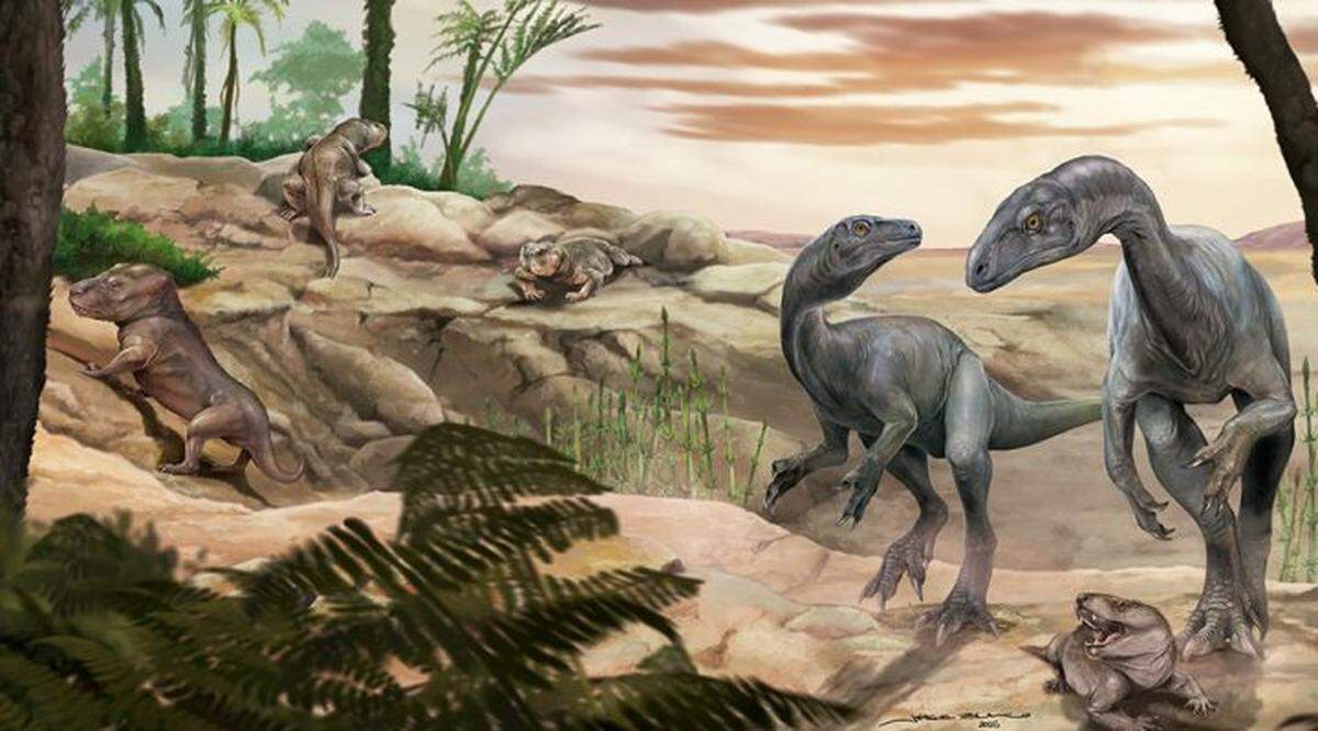 The dinosaurs were herbivores.