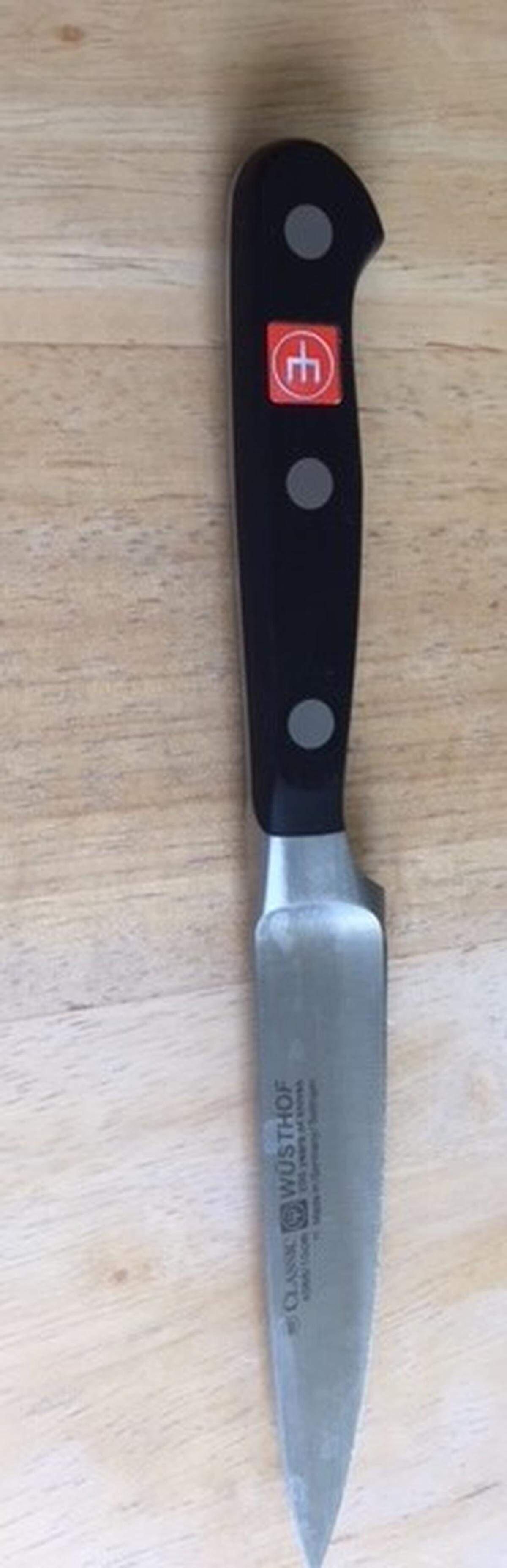 The 4-inch paring knife confiscated by security from the checked luggage of a passenger on two cruise ships.