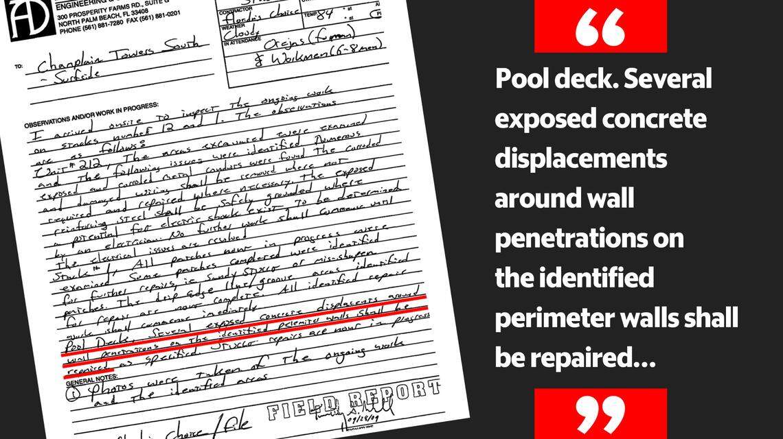 A memo describes damage caused by palm trees whose roots escaped the confines of their planters.