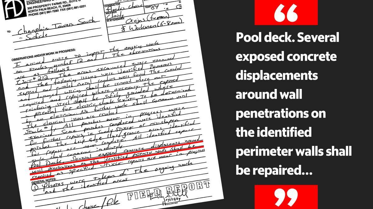 A memo describes damage caused by palm trees whose roots escaped the confines of their planters.
