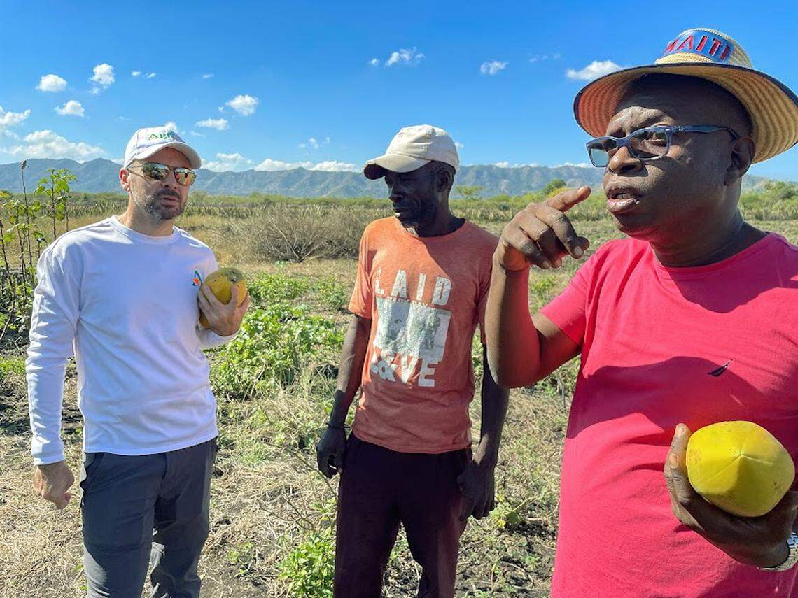 From left to right: Geoffrey Handal, farmer Fransik Monchèr and Maxwell Marcelin. Handal and Marcelin, who formed the company AGRILOG, are working with farmers like Monchèr in northern Haiti to help them improve techniques for growing peppers and other produce.