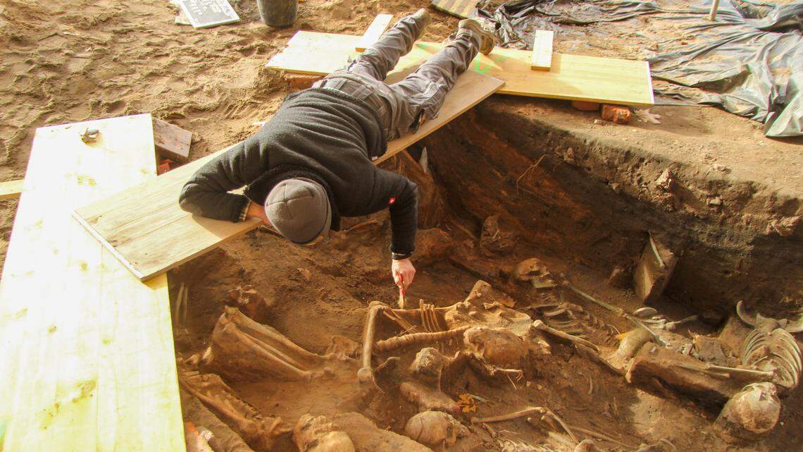 Archaeologists in Germany discovered eight mass burials filled with victims of the Black Death.