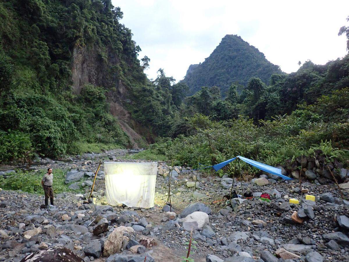 The researchers were armed with a list of 30 species they hoped to find.
