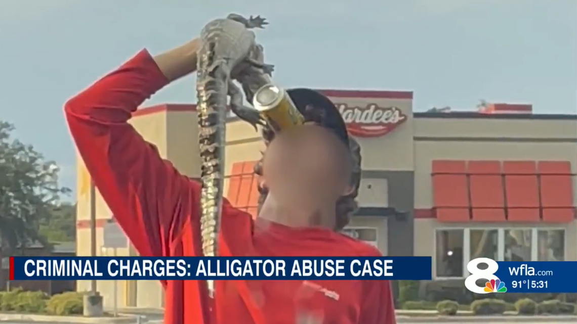 A Florida teen is being accused of alligator abuse after video showed him chugging a drink as a young alligator bit down on the can.