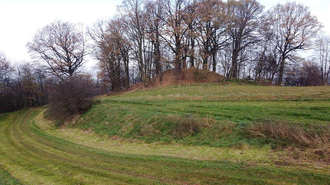 A Ph.D. student in Widów stumbled on the ruins of a medieval manor and defensive tower once owned by a knight, archaeologists said and photos show.