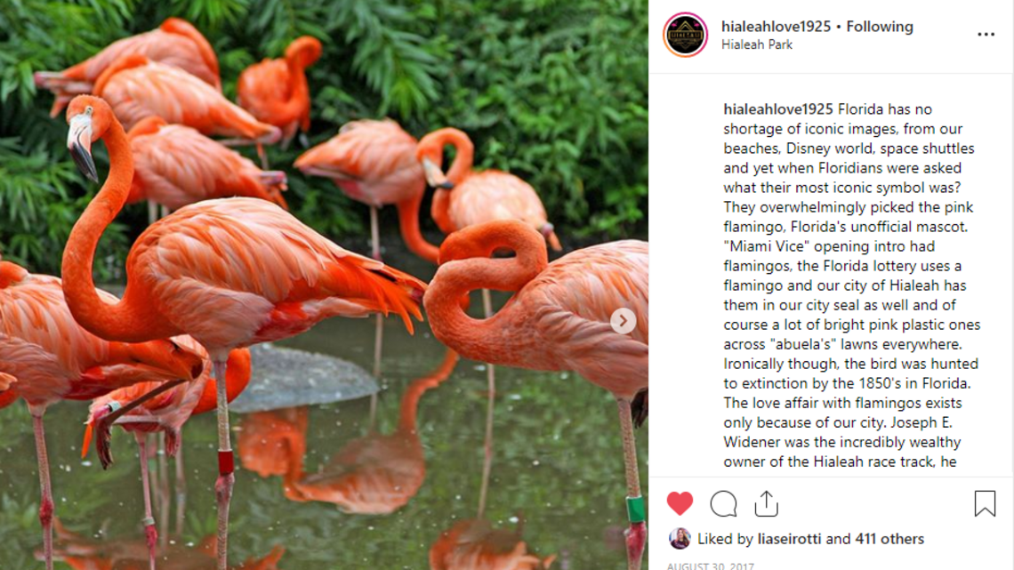 Proud to be from Hialeah? This Instagram account will make you even prouder