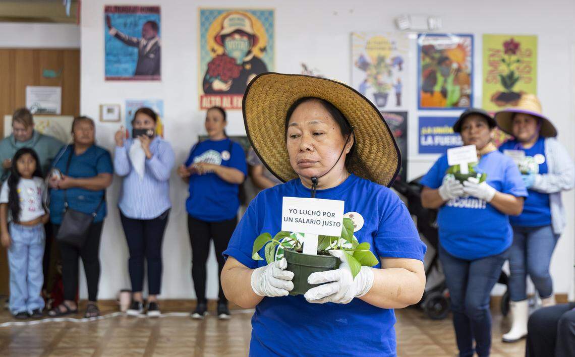 Martha, a farmworker, holds a plant as she attends the launch of WeCount!'s Planting Justice campaign at its headquarters on Saturday, Feb. 14, 2026, in Homestead, Fla. The campaign urges major retailers and growers to adopt a new Code of Conduct for plant nursery workers in their supply chains and agree to independent monitoring, enforcement and certification.