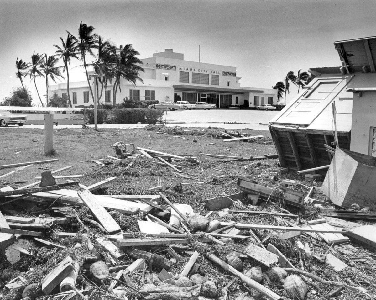 Debris at Dinner Key.