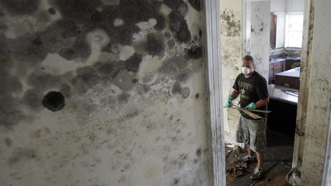 How Three Small Leaks in a New Home Led to $50,000 in Hidden Mold Damage for One Family