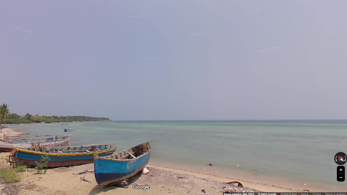 Scientists identified a new species of “rare in catch” eels off the coast of India, according to a new study.