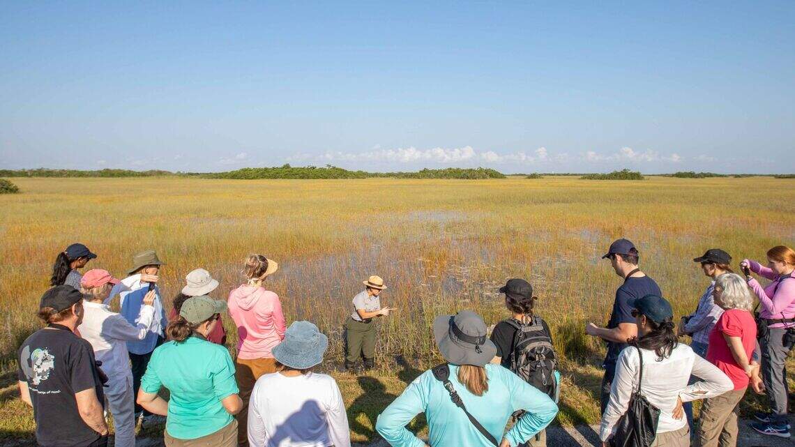How you can help save some of the most environmentally sensitive spots in South Florida