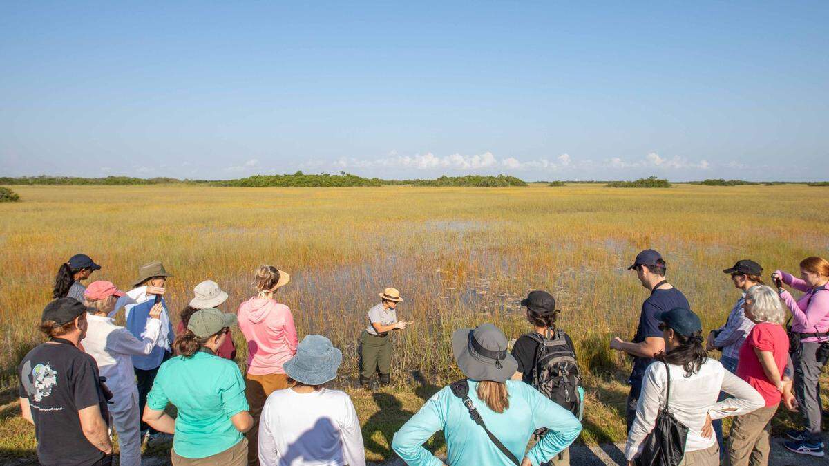 Tropical Audubon ambassadors on a field trip to learn in the Everglades.