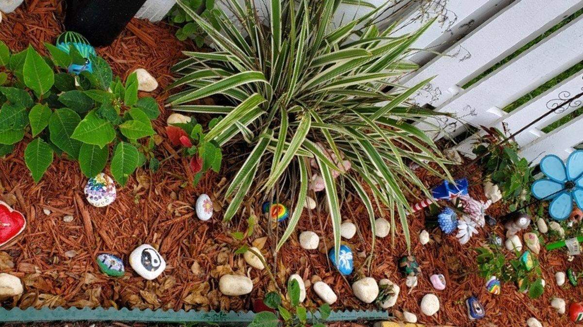 Janice Palmer wanted to participate in the painted rocks project, but can’t walk around her neighborhood. So she started a rock garden in her front lawn.