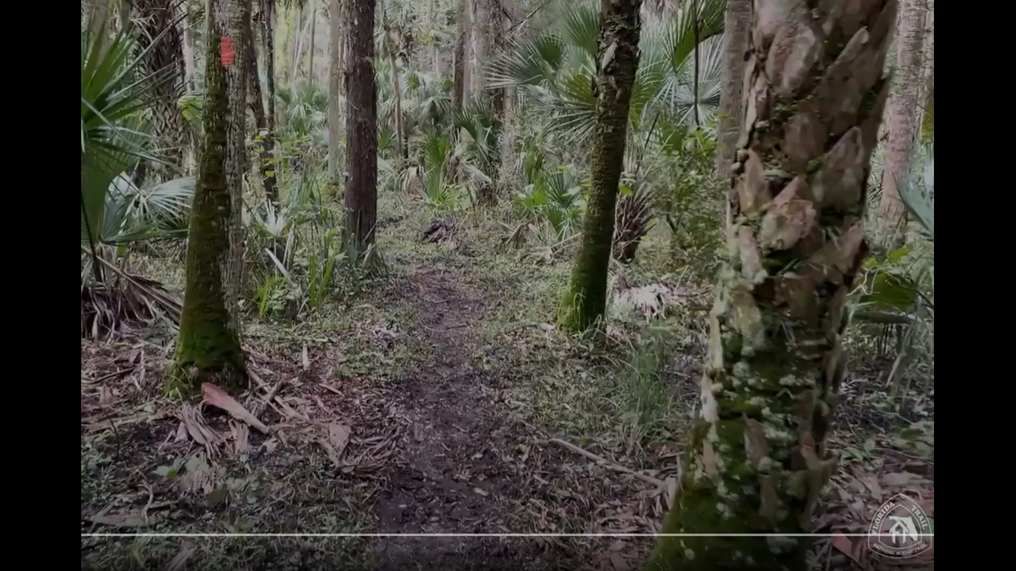 A hiker is in critical condition after being stabbed “for unknown reasons” on the Florida National Scenic Trail, according to the Okaloosa County Sheriff’s Office.