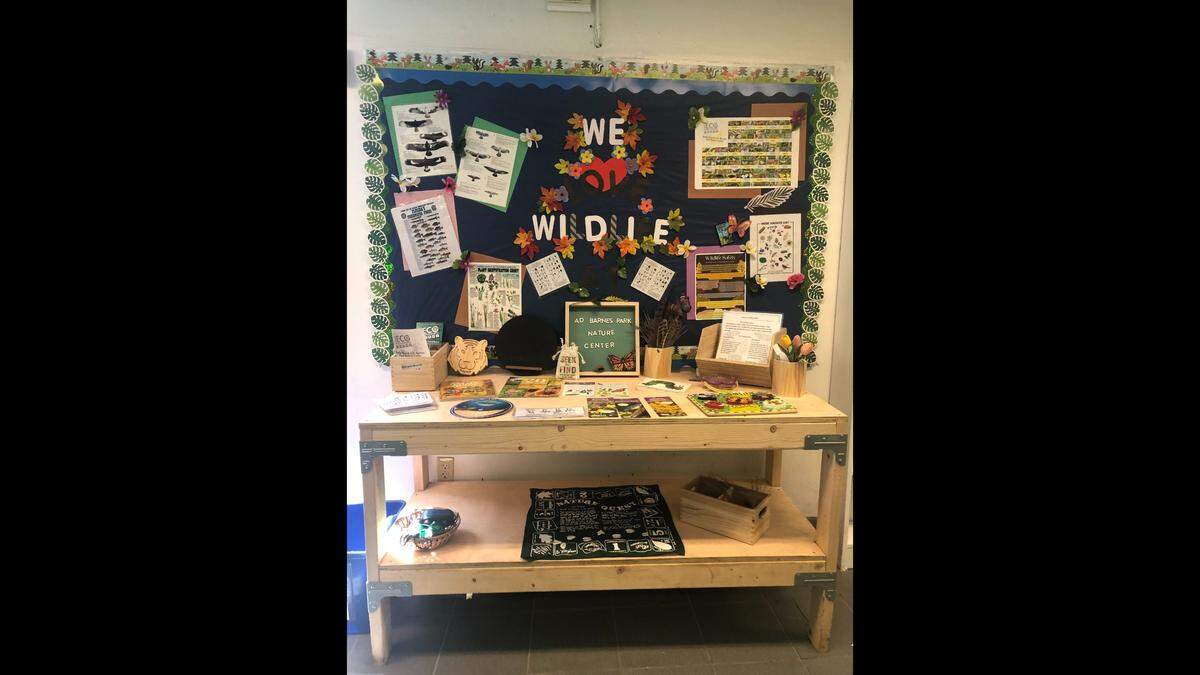 The work/display center at A.D. Barnes Park Nature Center.