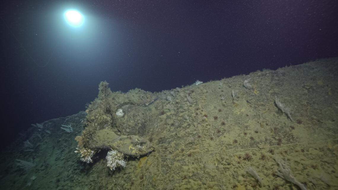 An anchor remains still attached to the bow of the USS New Orleans. The bow was blown off in a 1942 battle and was lost on the seafloor until July 6, when it was found by the Ocean Exploration Trust.