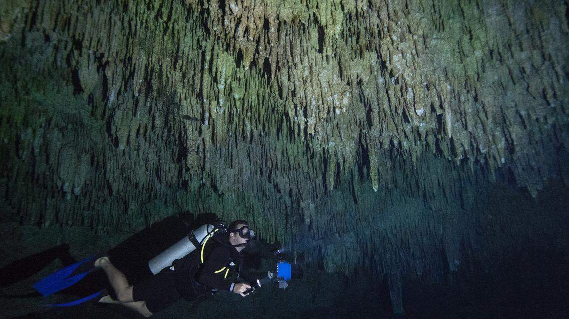 QUINTANA ROO - SEPTEMBER 27: A scuba diver swims under stalactites in a massive underground, underwater cave in the Cenote Taj Maha in Quintana Roo, Mexico on September 27, 2018. Cenotes are massive sinkholes formed when the ceiling of a limestone cave collapses underwater, creating a network of underwater caverns in crystal clear water that divers come from around the world to explore. In ancient times, cenotes served as the Mayan civilizations only source of water and were also held as being sacred to the Mayan People. They believed that the sinkholes represented a passage to the underworld, or "Xibalba in the Mayan language. Archaeologists have found fossils of mammoths, massive jaguars, and sloths in these underground cave systems, as well as human bones indicating ritual sacrifice and human presence in the cenotes as far back as 9,000 years ago. (Photo by Donald Miralle/Getty Images for Lumix)