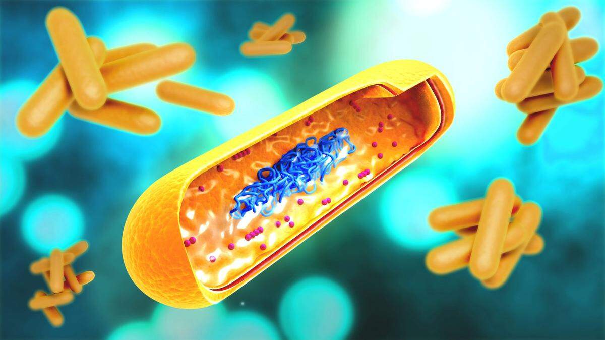 This CDC illustration shows what the tuberculosis bacteria looks like.