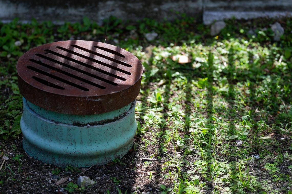 A drain on Palm Island that City of Miami Beach constructed as part of the Palm and Hibiscus Islands resiliency project on Tuesday, February 9, 2021.