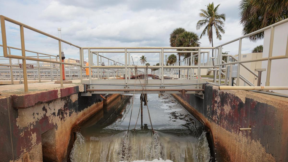 A view of the settling tanks during a tour of the Central District Wastewater Treatment Plant in Virginia Key, Florida, on Thursday, Jan. 16, 2025.